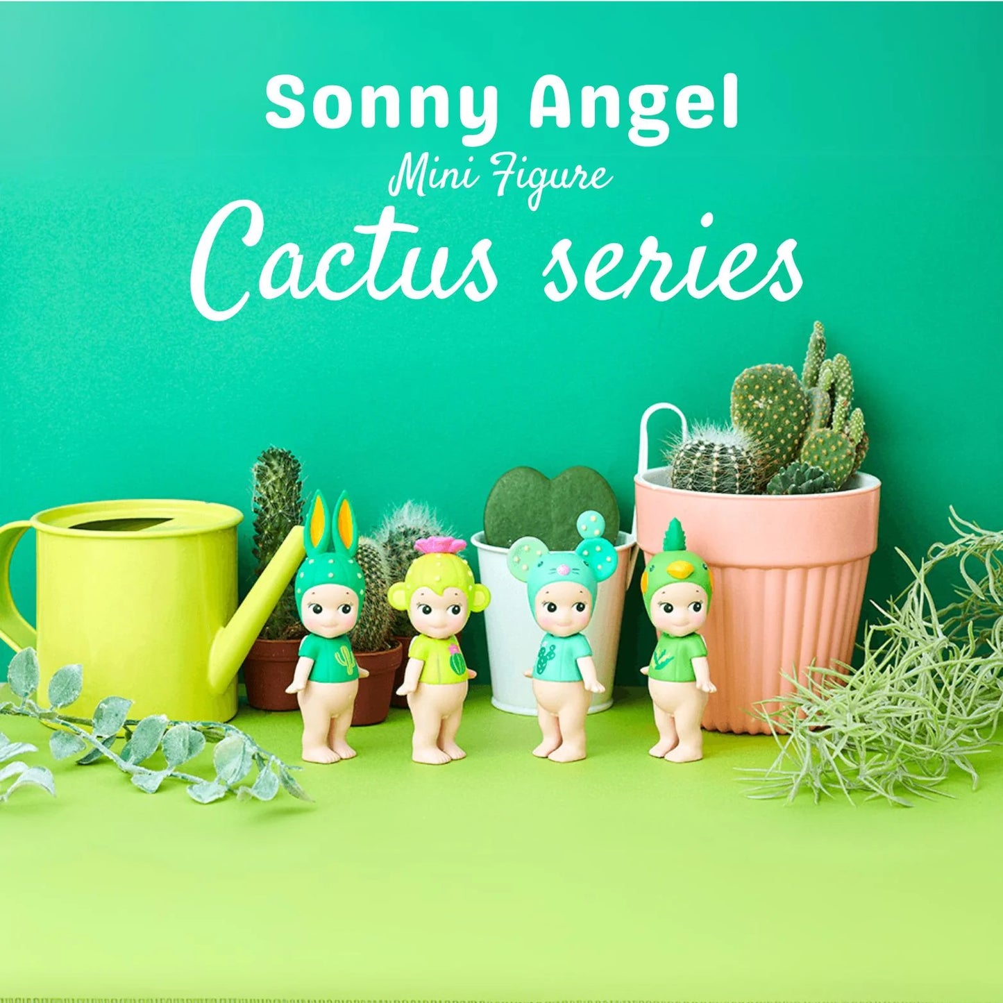 Cactus Series